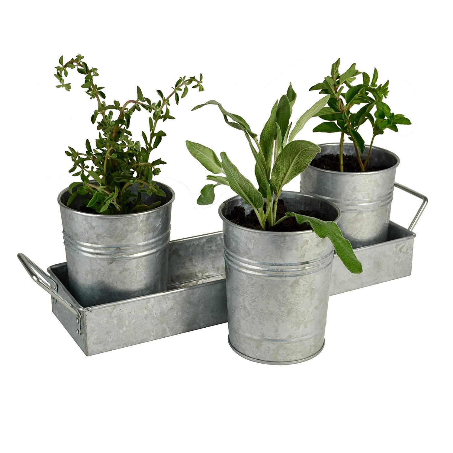 Metal Galvanized Flower Pots